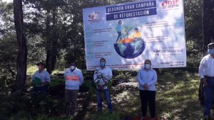 Refrendan compromiso con el medio ambiente, realizan segunda campaña de reforestación en Jitotol  