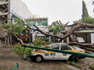 Saldo blanco por lluvias en Tuxtla Gutiérrez 