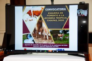 Anuncian Gobierno de Chiapas y ABM arranque del Proyecto de Cuencas Lecheras