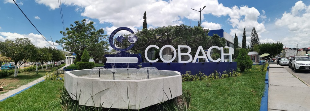 Cobach garantiza ingreso de aspirantes al semestre 2020-B