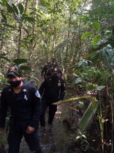 SSyPC realiza operativos para proteger la flora y fauna de la Selva Lacandona