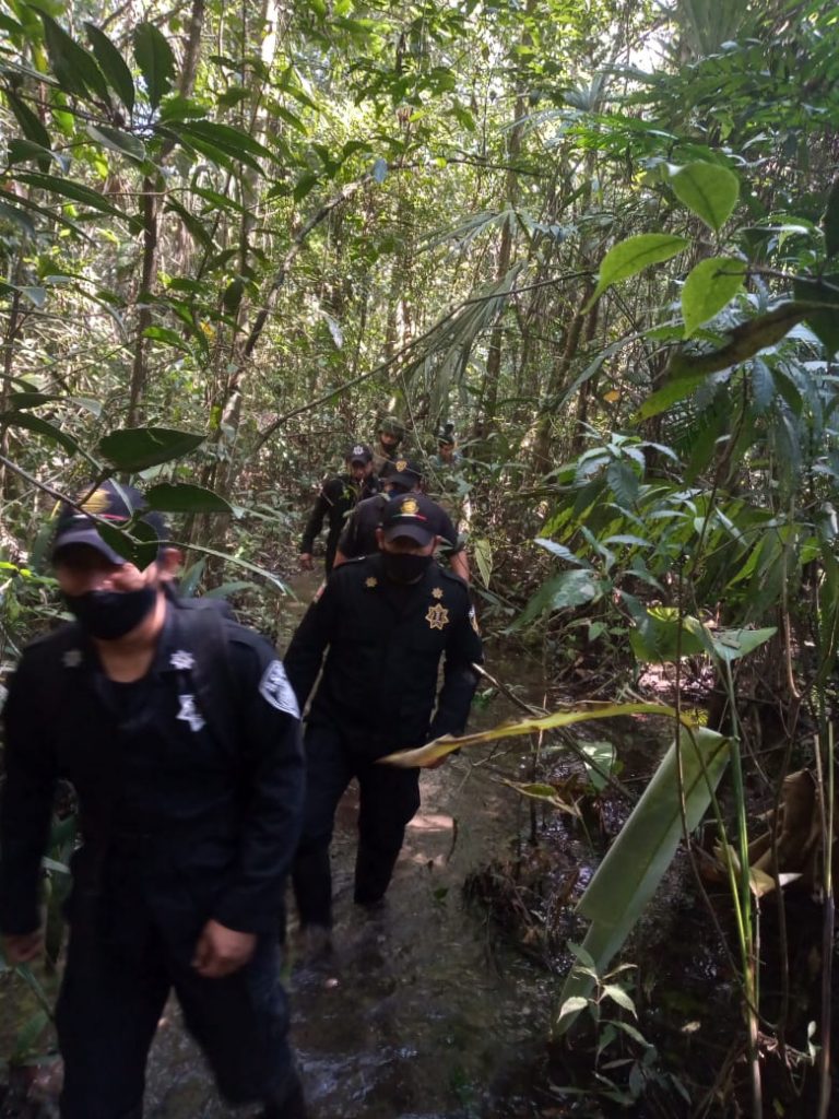 SSyPC realiza operativos para proteger la flora y fauna de la Selva Lacandona