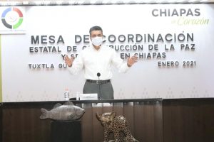 Chiapas recibe segundo lote de vacunas anti COVID-19; continúa aplicación a personal de salud