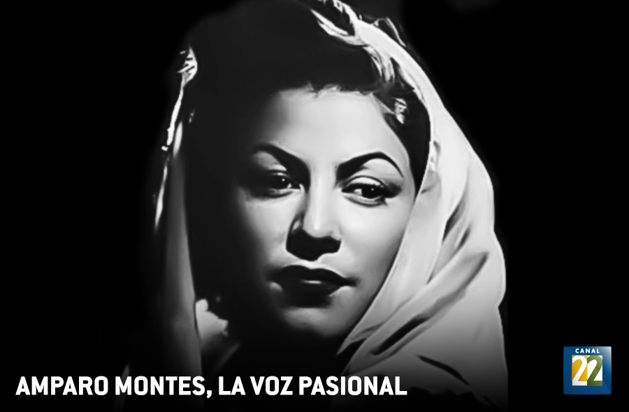 La muerte de Amparo Montes