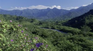 Van por la conservación de la Sierra Madre de Chiapas