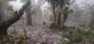 Brindan atención inmediata a familias afectadas por granizada en Altamirano