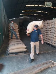 Exportan primeras 19 toneladas de café orgánico certificado a EEUU