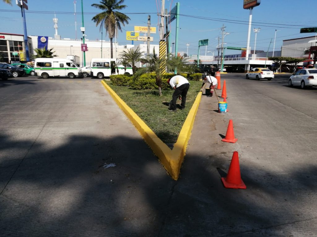 Invitan a la ciudadanía a sumarse al Programa Primavera para embellecer Tapachula