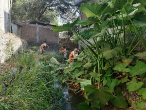 Inician trabajos de limpieza en ríos y afluentes de Tuxtla