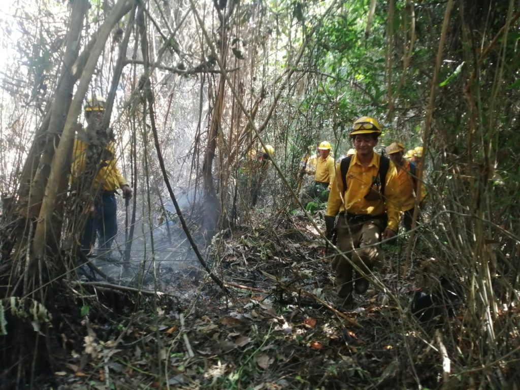 Casi controlado incendio en la Reserva de la Encrucijada; más de 440 hectáreas arrasadas 