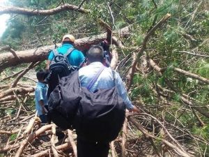  Mantienen bloqueo carretero exclusivo contra habitantes de Oxchuc