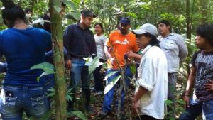 UNICACH colabora en gran proyecto de monitoreo de la Selva Lacandona