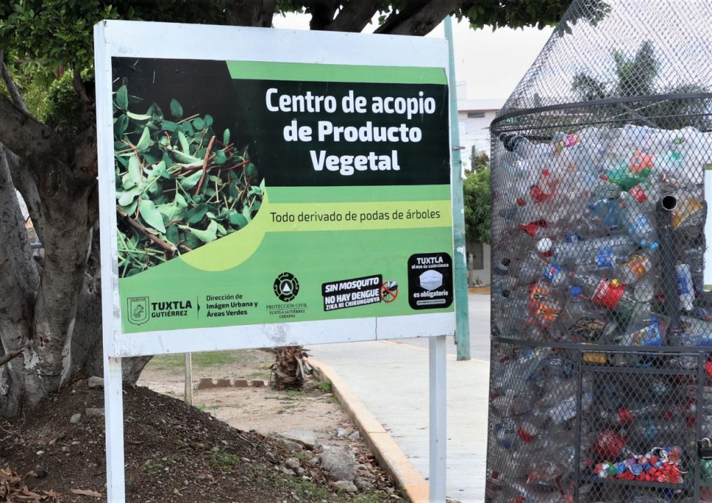 Establecen centros de acopio para producto vegetal derivado de podas de árboles