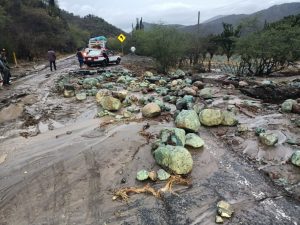 Interrumpido paso en carretera Oaxaca-Istmo