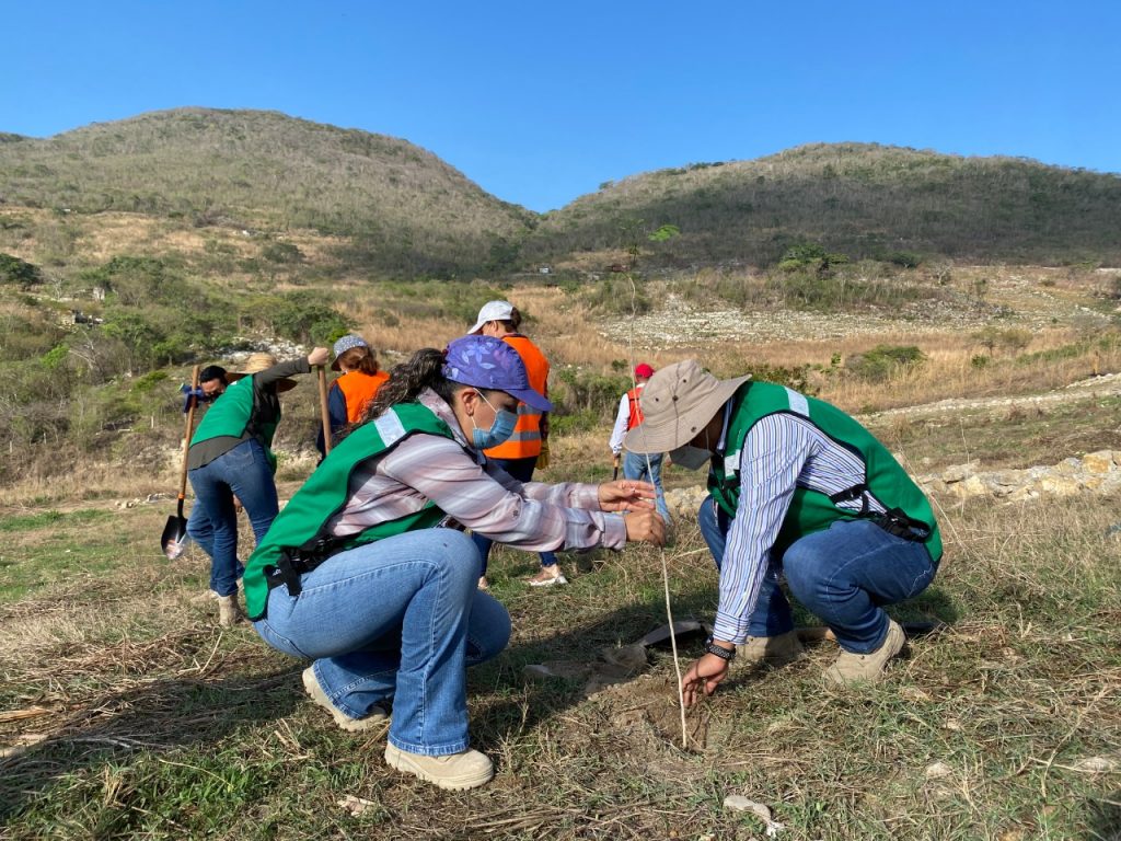 Ayuntamiento de Tuxtla reforesta sitio clausurado de relleno sanitario