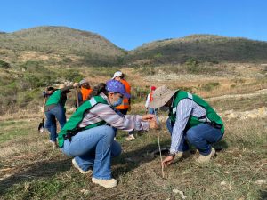 Ayuntamiento de Tuxtla reforesta sitio clausurado de relleno sanitario