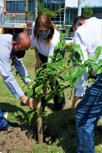 En el Día Mundial del Árbol, Ayuntamiento de Tapachula impulsa acciones de reforestación