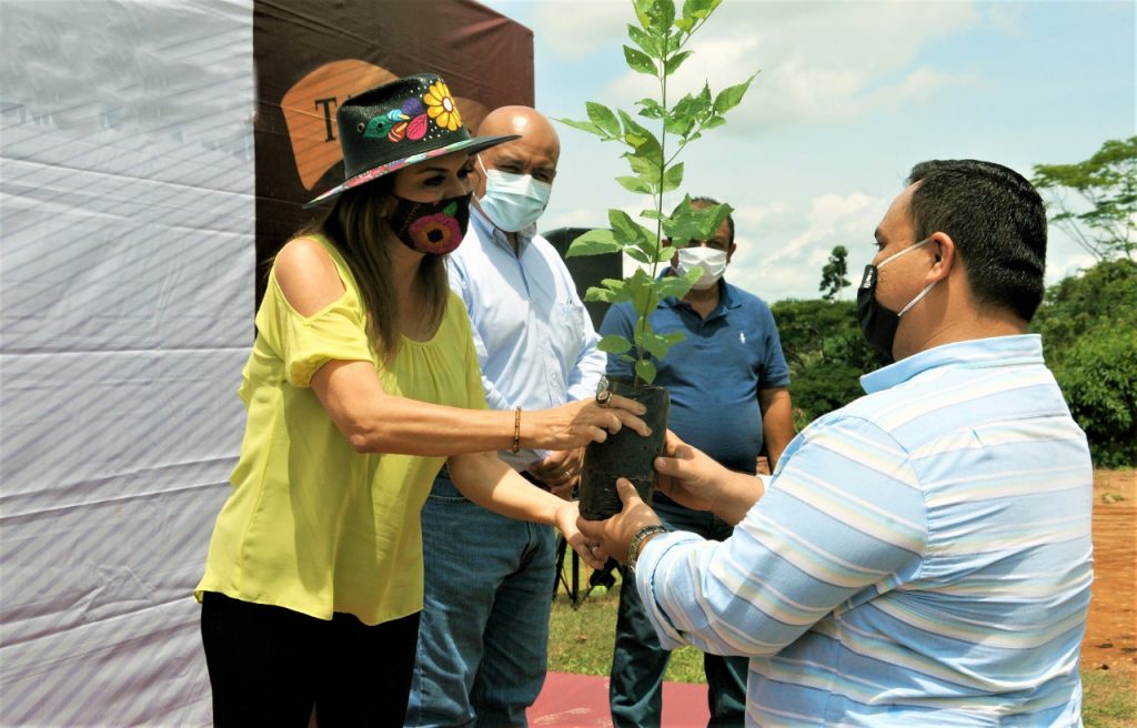 Entrega Ayuntamiento de Tapachula arbolitos en el Ejido 20 de Noviembre