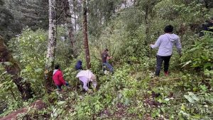 Pobladores y Conanp reforestan áreas de la Biosfera del Volcán Tacaná en Unión Juárez  