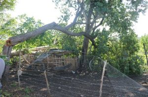 Queman y destruyen 35 casas en Venustiano Carranza, Chiapas