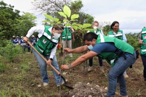 Reforesta Ayuntamiento de Tuxtla zonas afectadas por invasiones del Parque Nacional Cañón del Sumidero