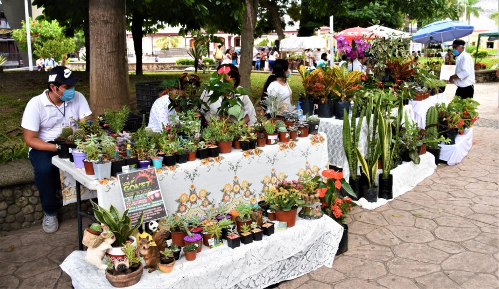 Ayuntamiento de Tapachula invita a exposición de plantas ornamentales y medicinales