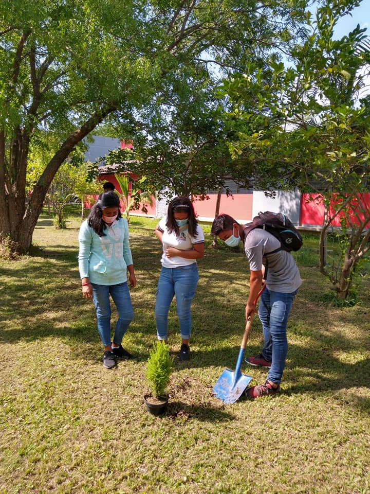 Cecyte Chiapas contribuye a profesionalizar en materia forestal