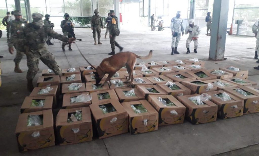 Policías federales aseguran tracto camión con 182 kilogramos de cocaína