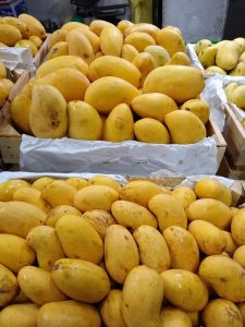 Productores de mango Ataulfo reconocen buena cosecha precios e incremento de exportaciones 