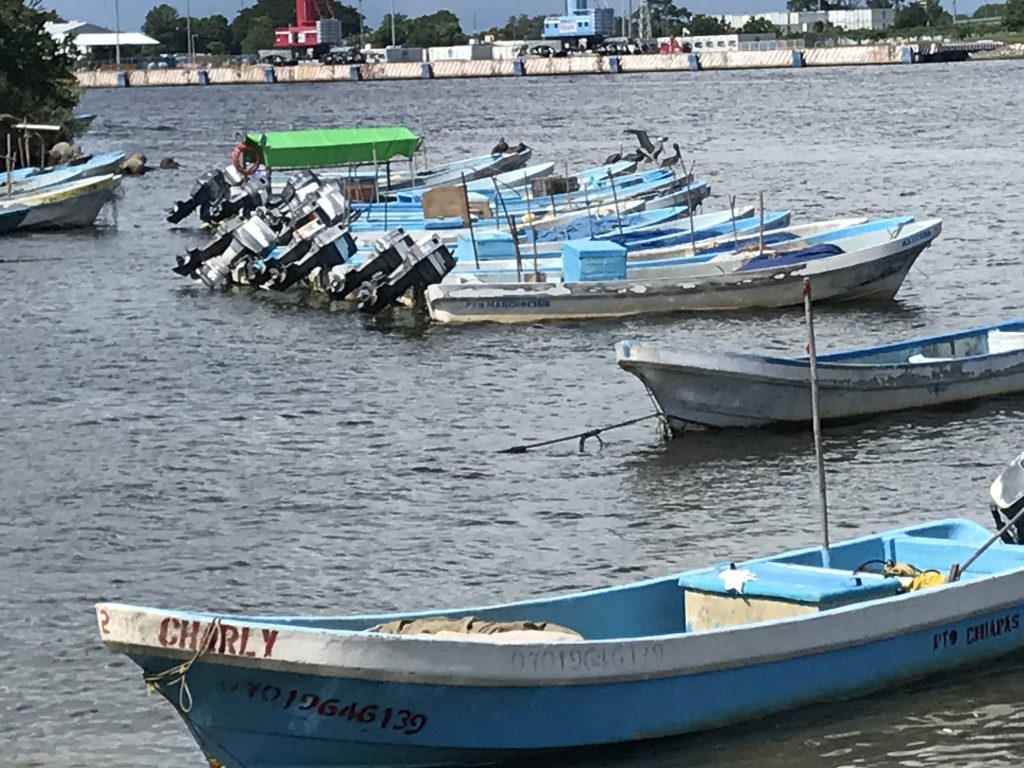 GPS en lanchas tiburoneras quedó en desuso para pescadores de Puerto Chiapas 