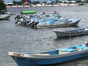 GPS en lanchas tiburoneras quedó en desuso para pescadores de Puerto Chiapas 