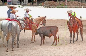 Indeporte respaldó la participación de Chiapas en el Campeonato Nacional  Charro