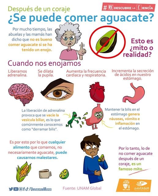 Infografía