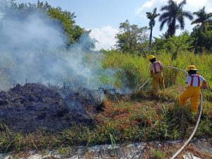 Protección Civil Municipal sofoca incendio de pastizales en Tapachula