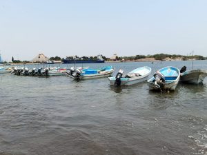 Pescadores tiburoneros con problemas críticos para desarrollar la actividad 