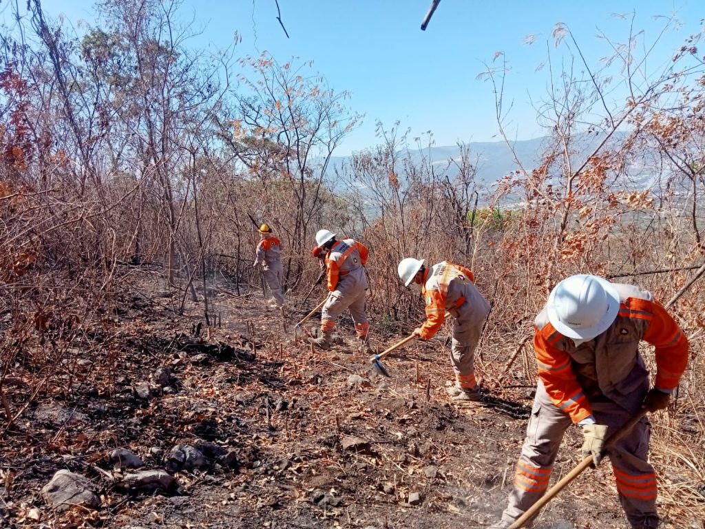 Prepara Protección Civil Tuxtla brechas cortafuego en Nueva Jerusalén