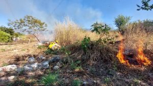 Sanciones para quienes quemen basura o provoquen incendios en Tuxtla