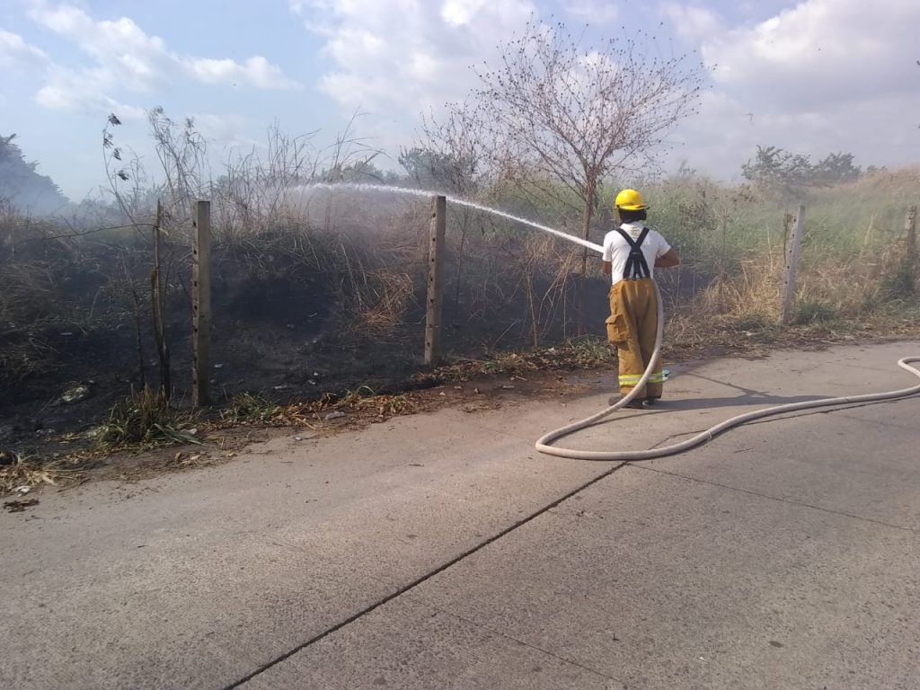 Se atienden incendios de pastizales, enjambre de abejas y caída de árbol sobre una casa en Tapachula