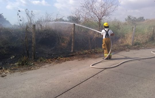 Se atienden incendios de pastizales, enjambre de abejas y caída de árbol sobre una casa en Tapachula