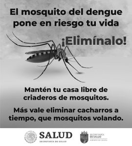 Lucha contra el Dengue