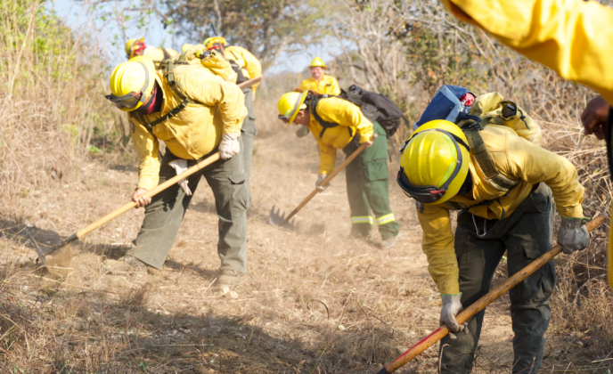 Arrancan las brigadas de control y prevención contra incendios ...