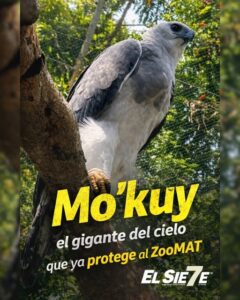 657723376_1538256871452544_4699714830785326359_n