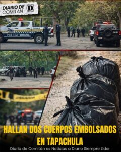 657790058_1413231347517414_1332158622432188865_n