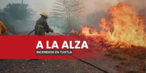 ALZA