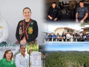 WhatsApp Image 2026-03-11 at 8.57.51 PM