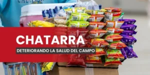 CHATARRA