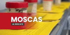 MOSCAS