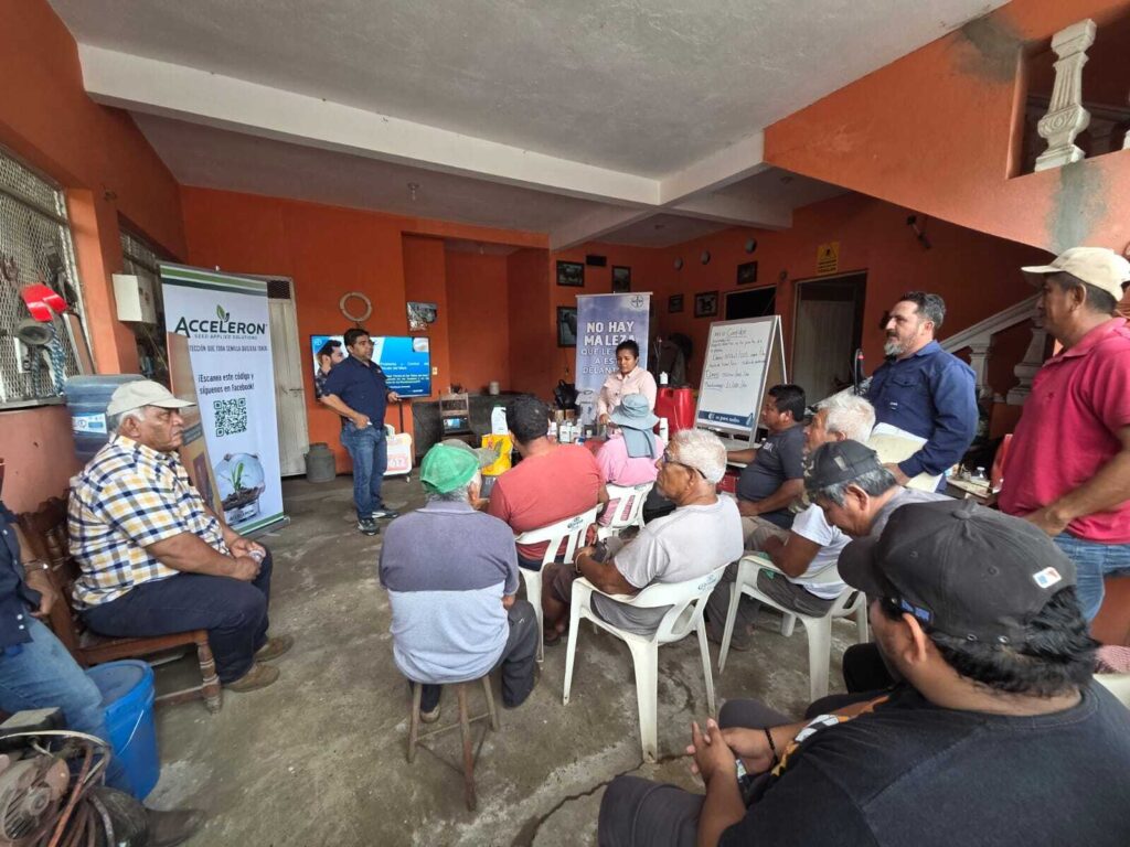 Solicitan-productores-de-maíz-de-Tapachula-apoyos-para-adquisición-de-semillas-y-fertilizantes