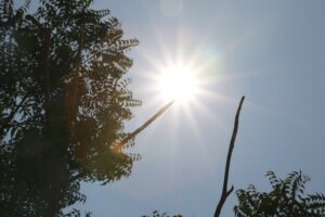 WhatsApp Image 2026-04-05 at 11.25.00 PM