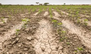 b17-3_focus_0_0_1125_667